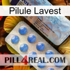 Lavest Pill 39